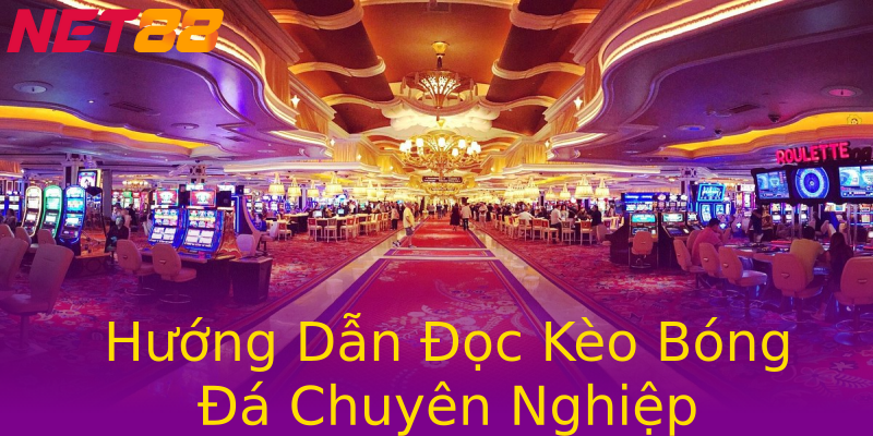 Hướng Dẫn Đọc Kèo Bóng Đá Chuyên Nghiệp Hướng Dẫn Đọc Kèo Bóng Đá Chuyên Nghiệp